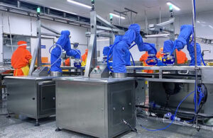 An image of a fish preparation facility with four blue Rizon robotic arms from Flexiv working at stainless steel tables.