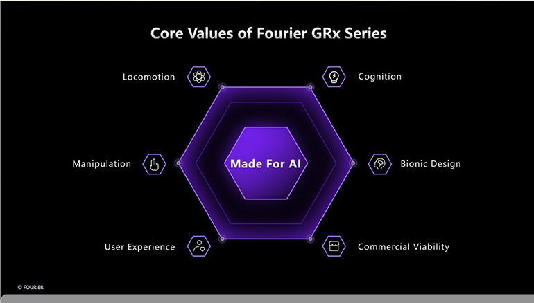 diagram of six core values.