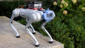 a quadruped robot learned to navigate new environments using generative ai.