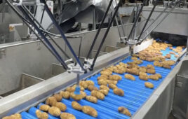 Two SiftAI Robotic Sorters from Smart Vision Works sort potatoes as they go down a conveyor belt.