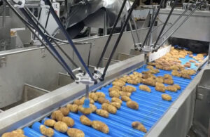 Two SiftAI Robotic Sorters from Smart Vision Works sort potatoes as they go down a conveyor belt.