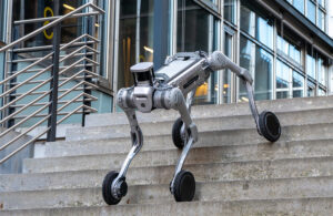 Swiss-Mile's quadruped robot with wheels making its way down stone stairs.